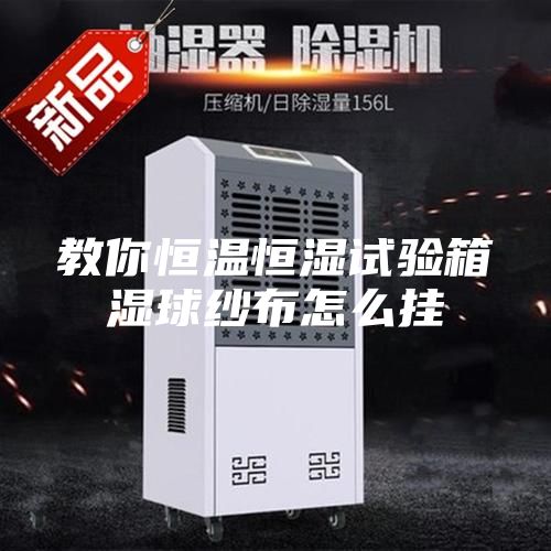 教你恒温恒湿试验箱湿球纱布怎么挂