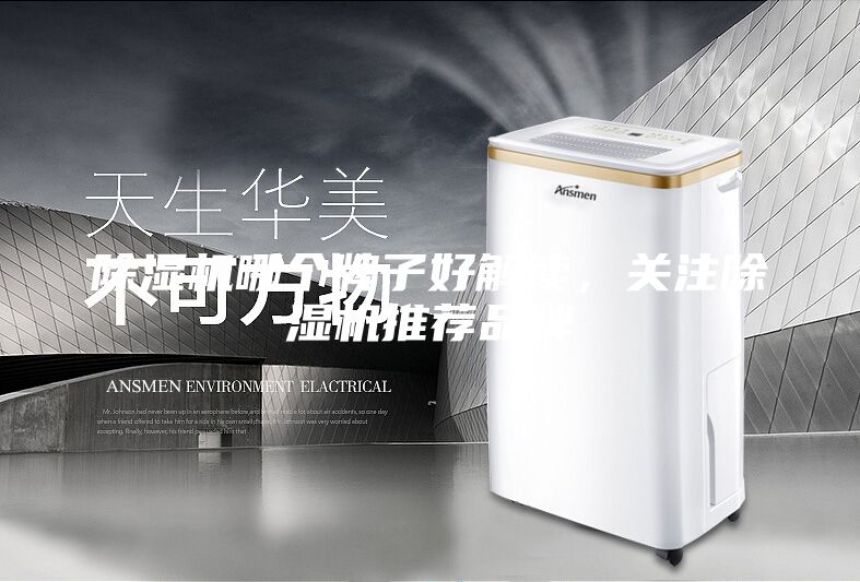 除湿机哪个牌子好解读，关注除湿机推荐品牌