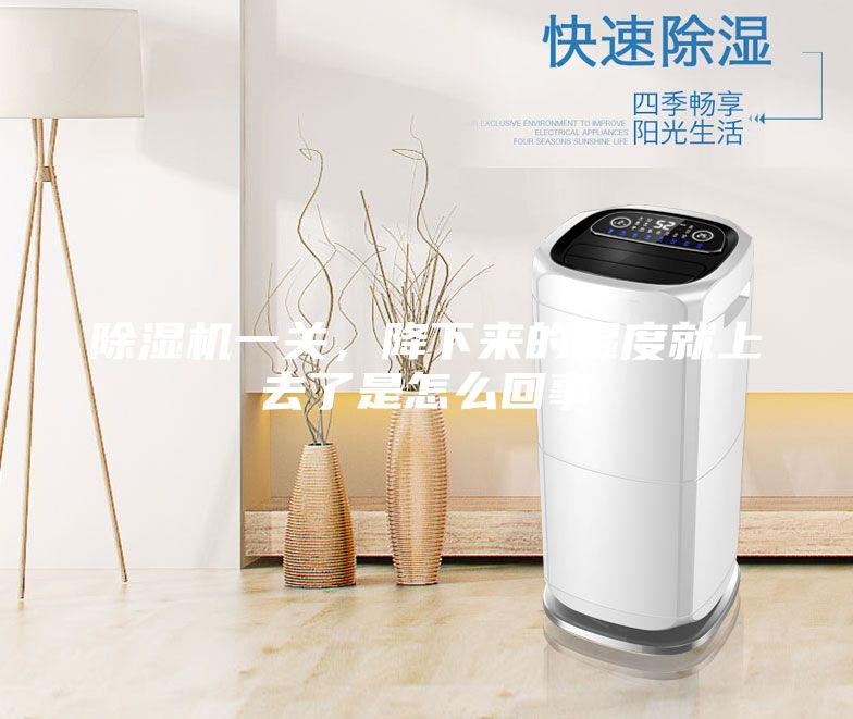 除湿机一关，降下来的湿度就上去了是怎么回事
