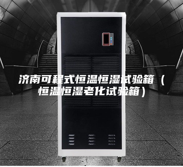 济南可程式恒温恒湿试验箱（恒温恒湿老化试验箱）