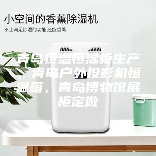 青岛恒温恒湿柜生产，青岛户外投影机恒温箱，青岛博物馆展柜定做