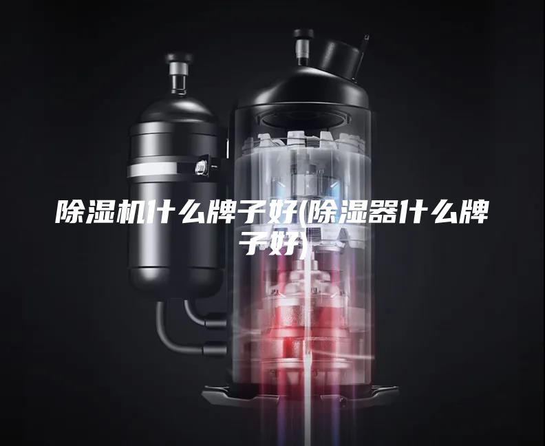 除湿机什么牌子好(除湿器什么牌子好)