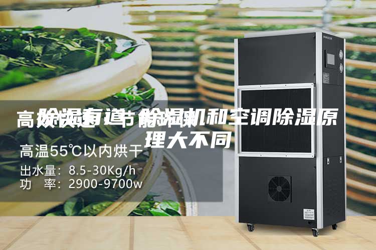 除湿有道 除湿机和空调除湿原理大不同