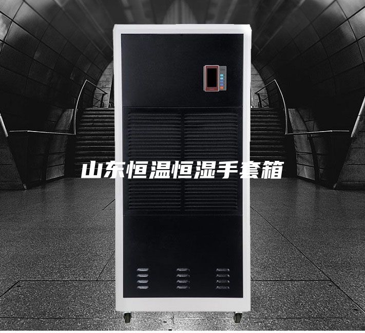 山东恒温恒湿手套箱