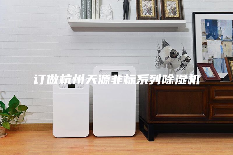 订做杭州天源非标系列除湿机