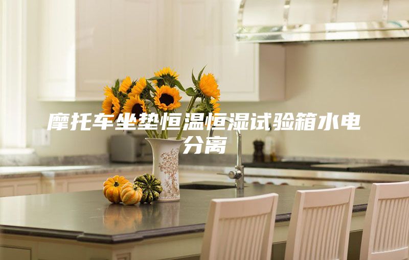 摩托车坐垫恒温恒湿试验箱水电分离