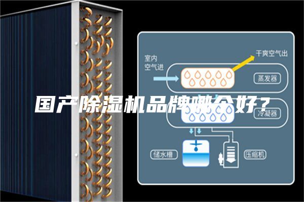 国产除湿机品牌哪个好？