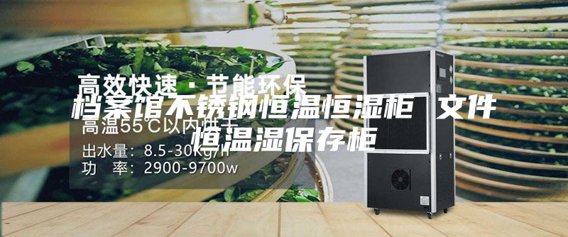 档案馆不锈钢恒温恒湿柜 文件恒温湿保存柜