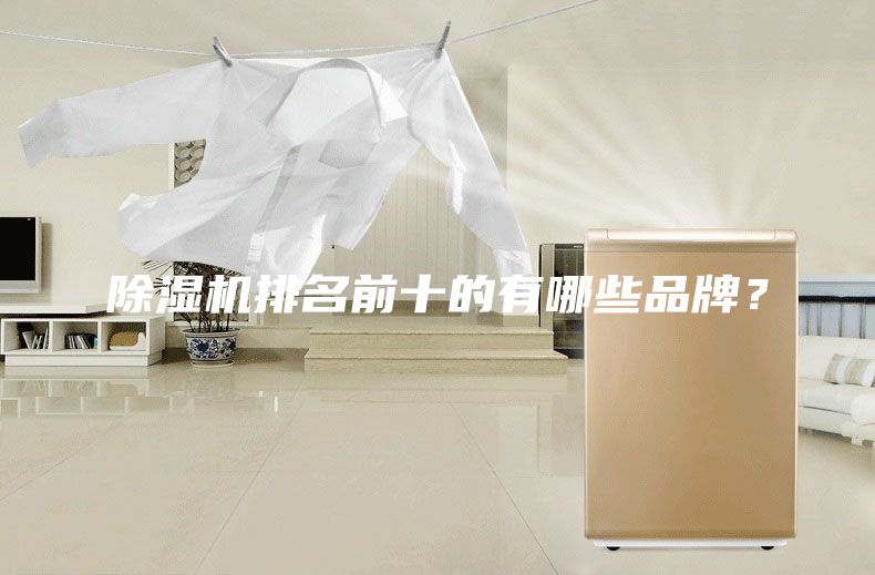 除湿机排名前十的有哪些品牌？