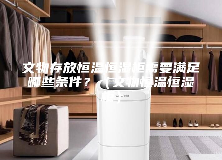 文物存放恒温恒湿柜需要满足哪些条件？（文物恒温恒湿柜）