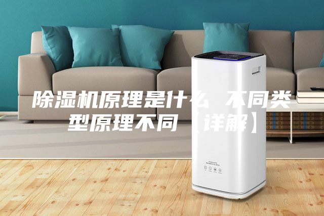 除湿机原理是什么 不同类型原理不同【详解】