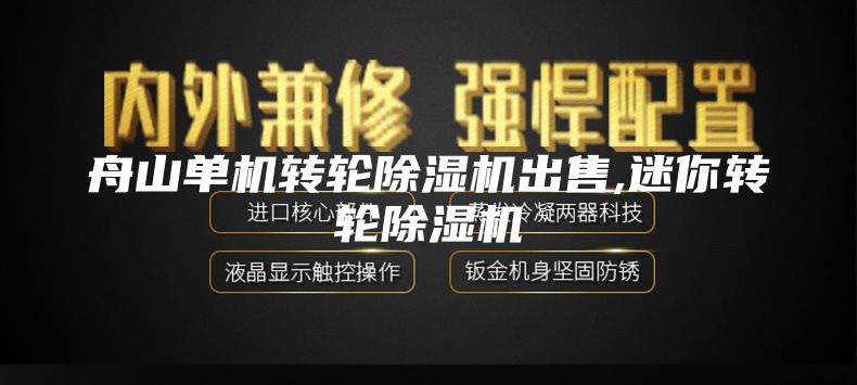 舟山单机转轮除湿机出售,迷你转轮除湿机