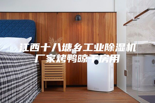 江西十八塘乡工业除湿机厂家烤鸭晾干房用