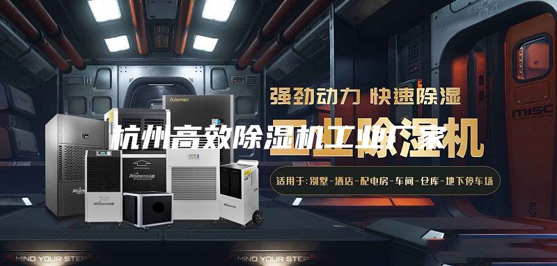 杭州高效除湿机工业厂家