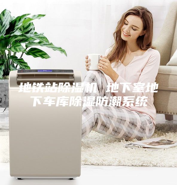 地铁站除湿机 地下室地下车库除湿防潮系统