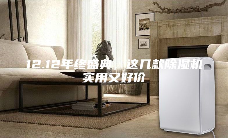 12.12年终盛典，这几款除湿机实用又好价