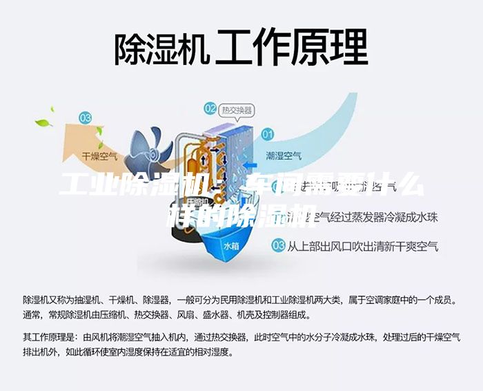 工业除湿机：车间需要什么样的除湿机
