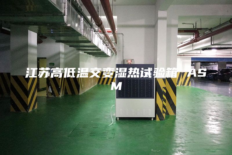 江苏高低温交变湿热试验箱 ASM