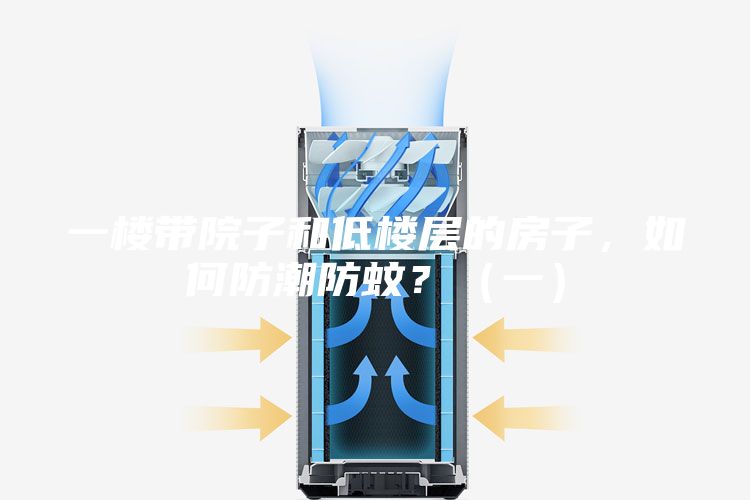 一楼带院子和低楼层的房子，如何防潮防蚊？（一）