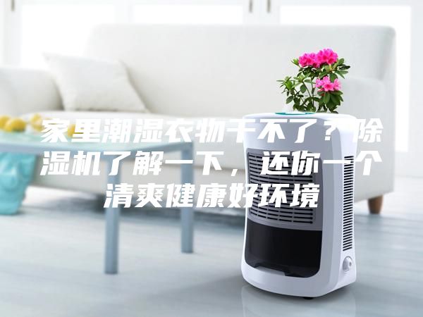 家里潮湿衣物干不了？除湿机了解一下，还你一个清爽健康好环境