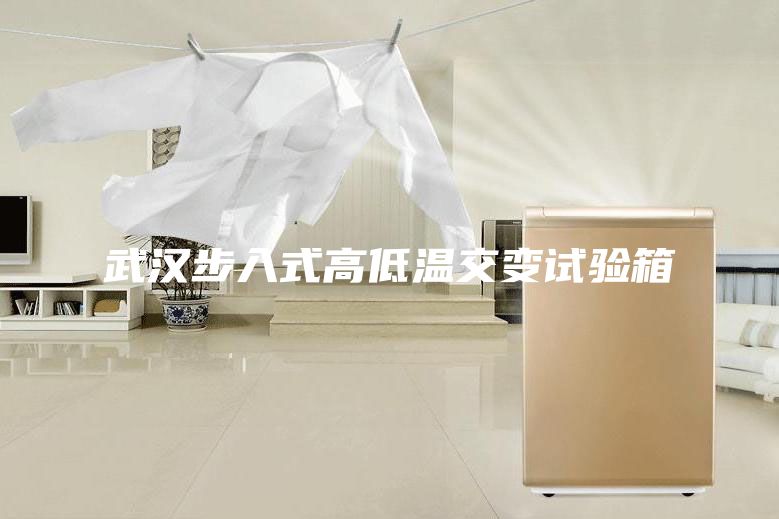 武汉步入式高低温交变试验箱