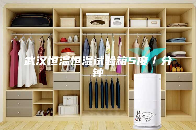 武汉恒温恒湿试验箱5度／分钟