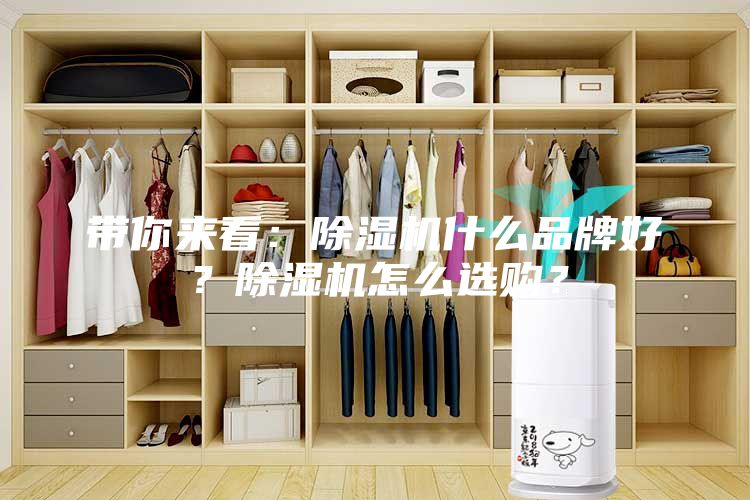 带你来看：除湿机什么品牌好？除湿机怎么选购？