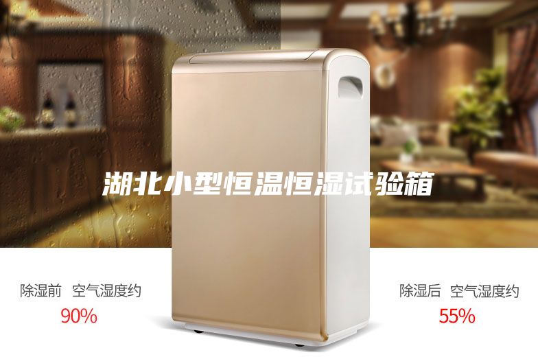 湖北小型恒温恒湿试验箱