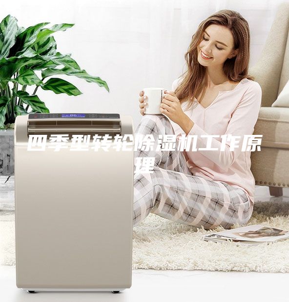 四季型转轮除湿机工作原理