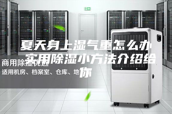 夏天身上湿气重怎么办 实用除湿小方法介绍给你