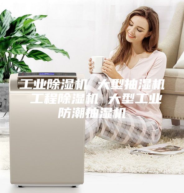工业除湿机 大型抽湿机 工程除湿机 大型工业防潮抽湿机