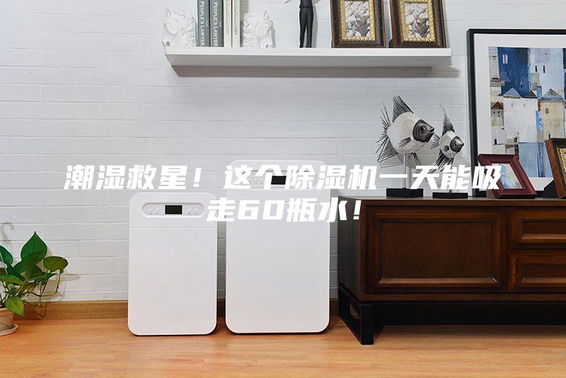 潮湿救星！这个除湿机一天能吸走60瓶水！