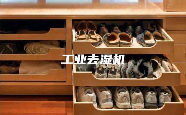 工业去湿机
