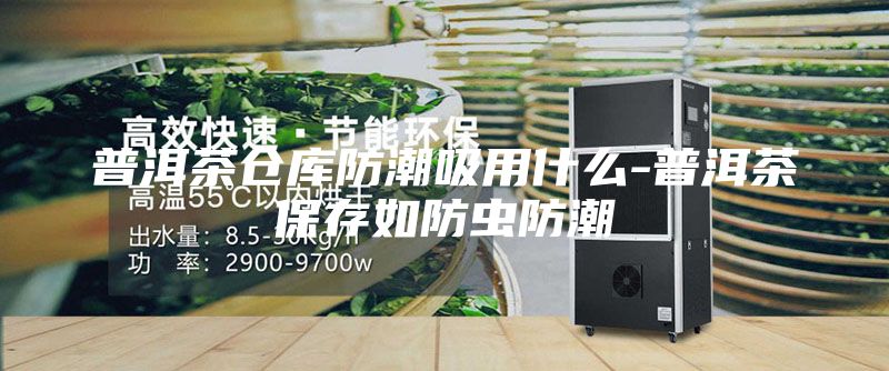 普洱茶仓库防潮吸用什么-普洱茶保存如防虫防潮