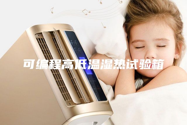 可编程高低温湿热试验箱