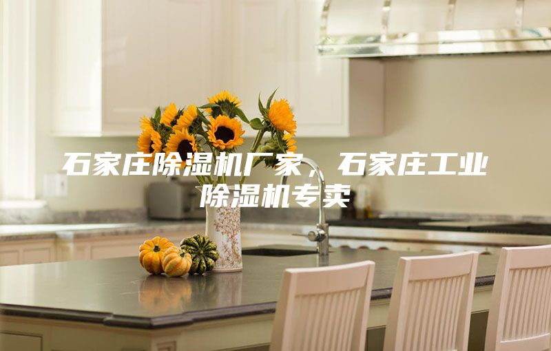石家庄除湿机厂家，石家庄工业除湿机专卖