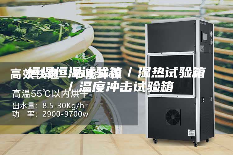 恒温恒湿试验箱／湿热试验箱／温度冲击试验箱