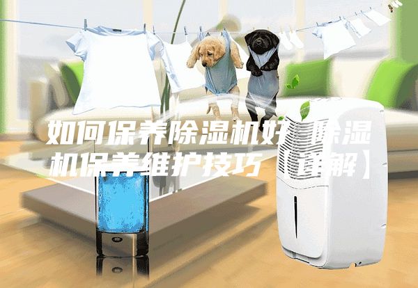如何保养除湿机好 除湿机保养维护技巧【详解】