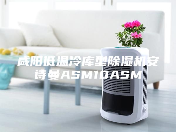 咸阳低温冷库型除湿机安诗曼ASM10ASM