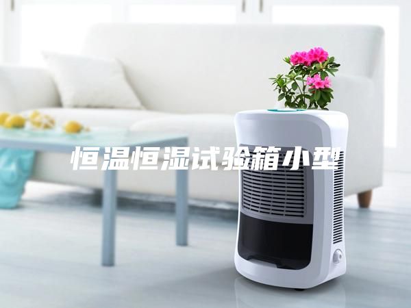 恒温恒湿试验箱小型