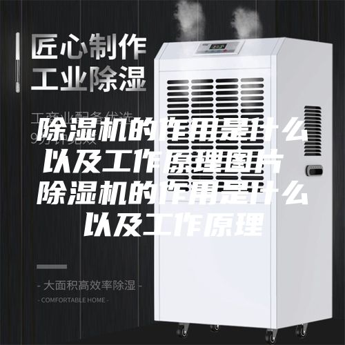 除湿机的作用是什么以及工作原理图片 除湿机的作用是什么以及工作原理