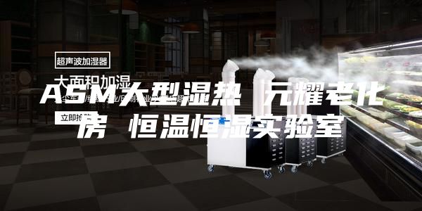 ASM大型湿热 元耀老化房 恒温恒湿实验室