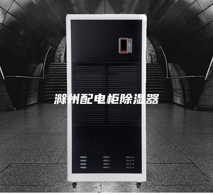 滁州配电柜除湿器
