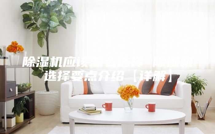 除湿机应该怎么选择 除湿机选择要点介绍【详解】