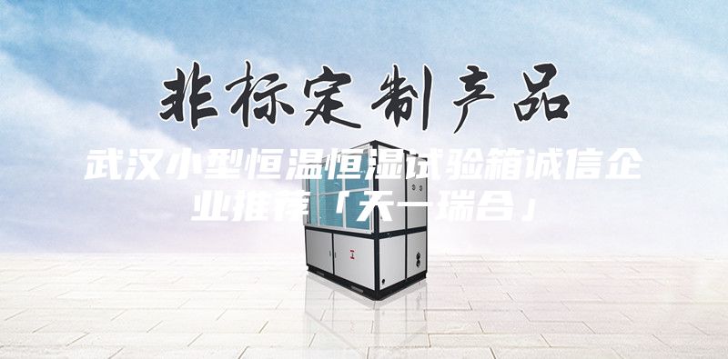 武汉小型恒温恒湿试验箱诚信企业推荐「天一瑞合」