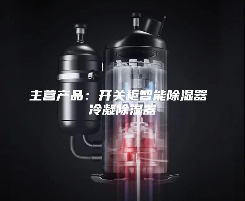 主营产品：开关柜智能除湿器 冷凝除湿器