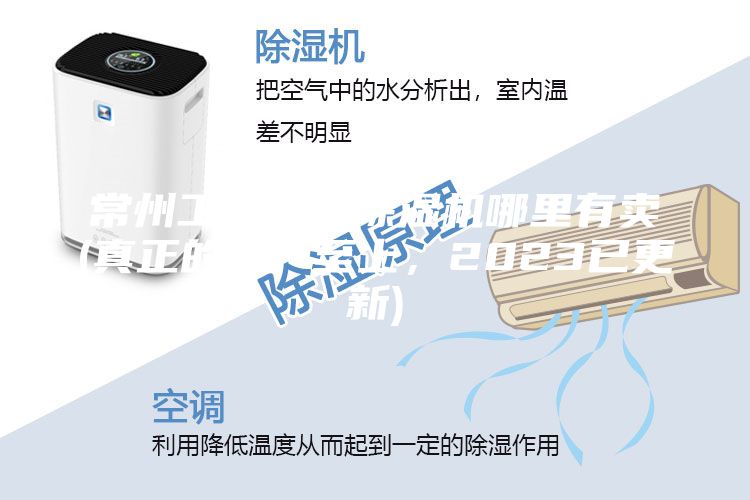 常州工业转轮除湿机哪里有卖(真正的客户至上，2023已更新)