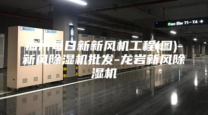 福州每日新新风机工程(图)-新风除湿机批发-龙岩新风除湿机