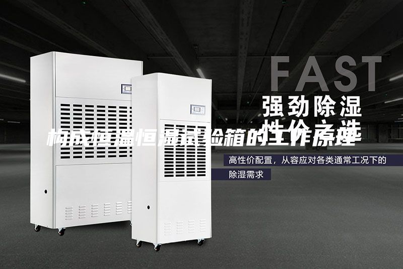 构成恒温恒湿试验箱的工作原理