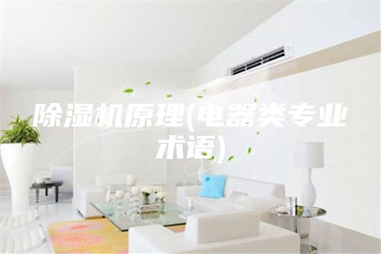 除湿机原理(电器类专业术语)